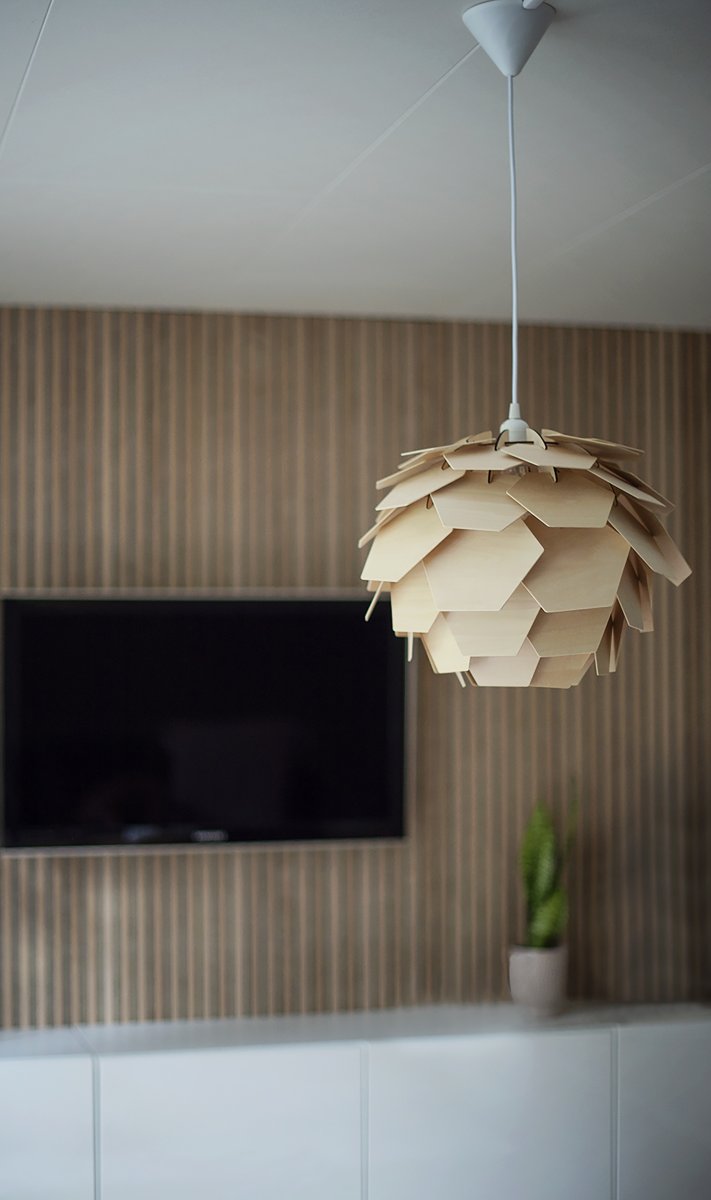 Carpatica Ø40 Luonto kattovalaisin valmistajalta Aneta Lighting - Kattokuppi on valkoista muovia koukkuripustetta varten ja riviliittimellä.