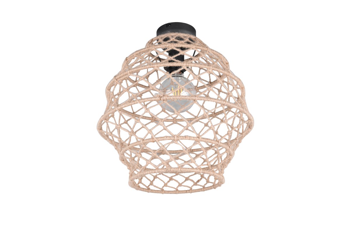 Hive Ø38 Luonto plafondi valmistajalta Trio Lighting - 