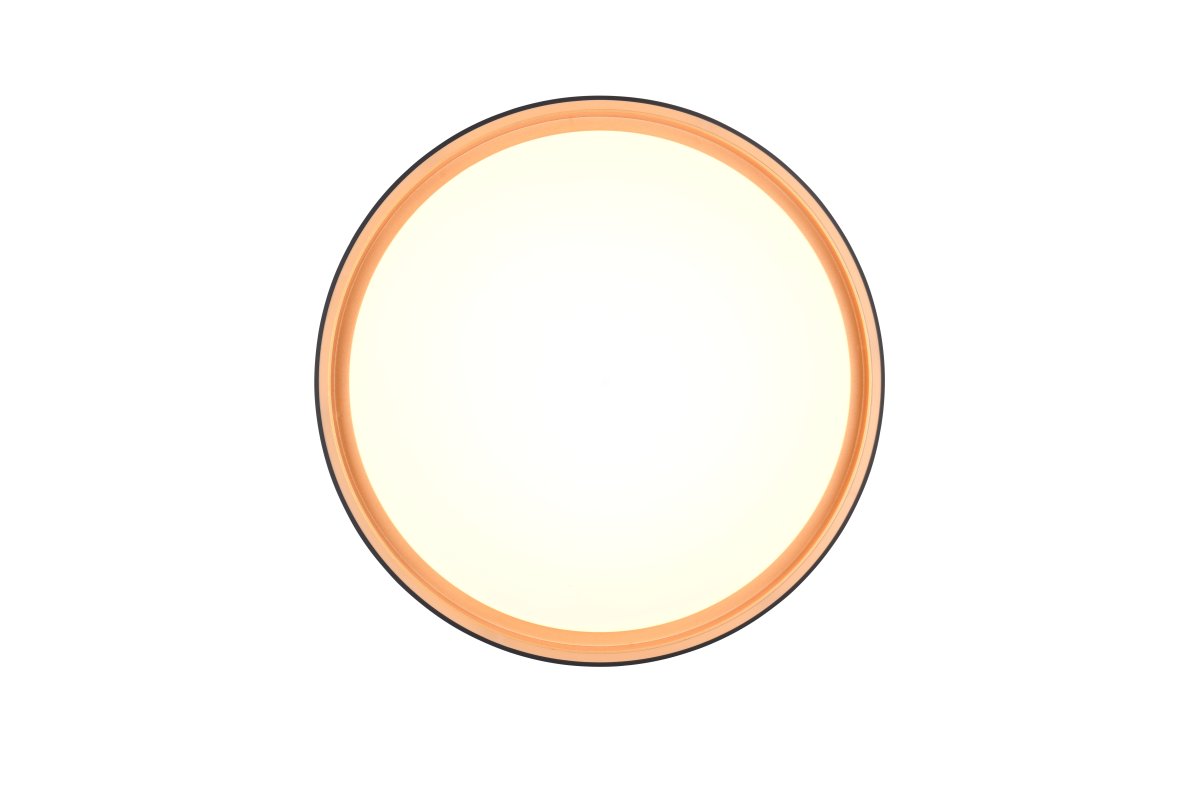 Felis Ø40 Musta plafondi valmistajalta Trio Lighting - Energiatehokas LED-tekniikka s&auml;&auml;st&auml;&auml; jopa 80 % energiakustannuksissa ja tarjoaa pitk&auml;n k&auml;ytt&ouml;i&auml;n alhaisella l&auml;mm&ouml;nkehityksell&auml; &ndash; &auml;lyk&auml;s ja ymp&auml;rist&ouml;yst&auml;v&auml;llinen ratkaisu kotiisi.