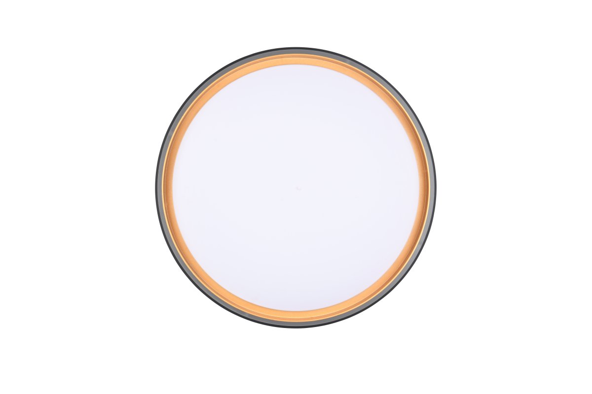 Felis Ø40 Musta plafondi valmistajalta Trio Lighting - Energiatehokas LED-tekniikka s&auml;&auml;st&auml;&auml; jopa 80 % energiakustannuksissa ja tarjoaa pitk&auml;n k&auml;ytt&ouml;i&auml;n alhaisella l&auml;mm&ouml;nkehityksell&auml; &ndash; &auml;lyk&auml;s ja ymp&auml;rist&ouml;yst&auml;v&auml;llinen ratkaisu kotiisi.