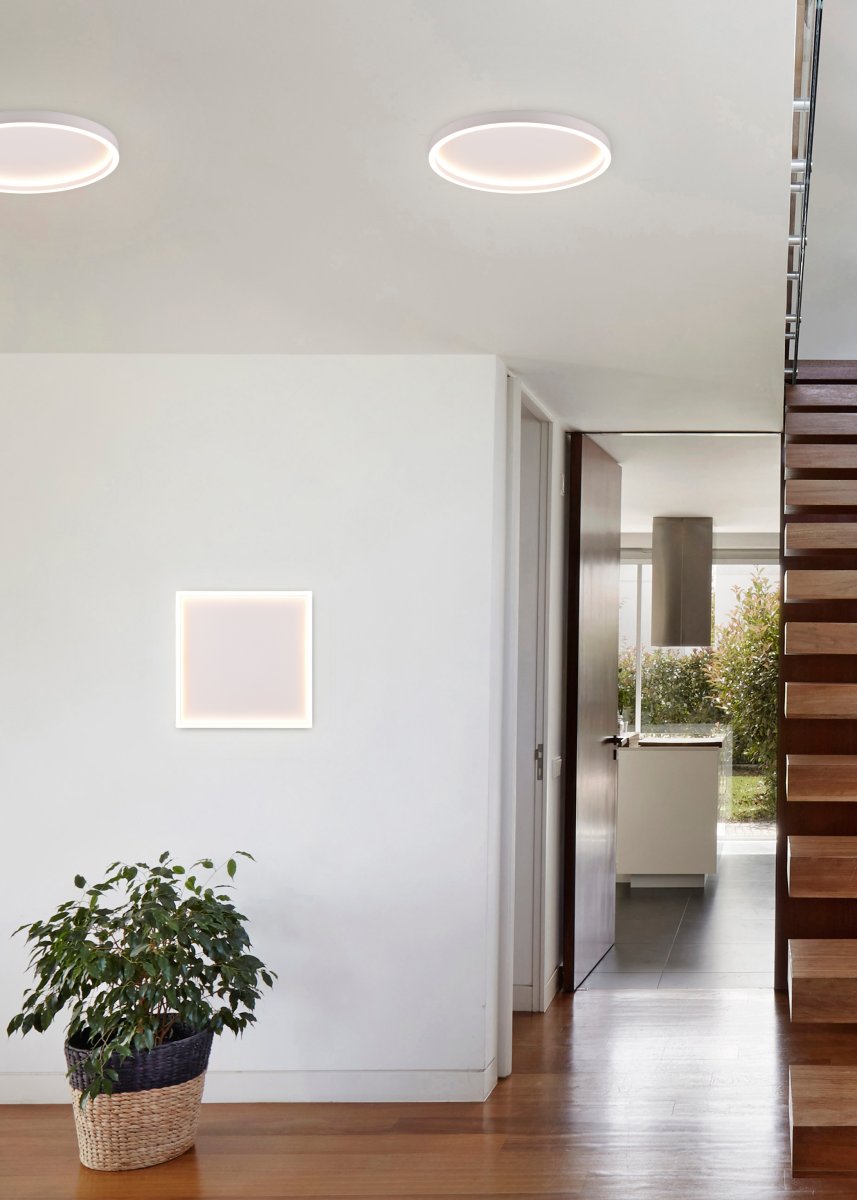 Rotonda Ø35 Valkoinen plafondi valmistajalta Trio Lighting - 